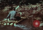 Image of survival techniques Philippines, 1968, second 30 stock footage video 65675072402