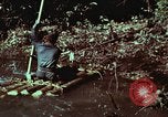 Image of survival techniques Philippines, 1968, second 31 stock footage video 65675072402