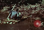 Image of survival techniques Philippines, 1968, second 33 stock footage video 65675072402