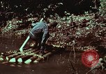Image of survival techniques Philippines, 1968, second 34 stock footage video 65675072402