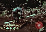 Image of survival techniques Philippines, 1968, second 35 stock footage video 65675072402