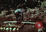 Image of survival techniques Philippines, 1968, second 36 stock footage video 65675072402