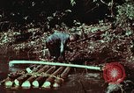 Image of survival techniques Philippines, 1968, second 37 stock footage video 65675072402