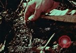 Image of survival techniques Philippines, 1968, second 43 stock footage video 65675072402