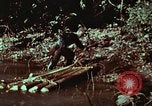 Image of survival techniques Philippines, 1968, second 47 stock footage video 65675072402