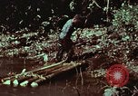 Image of survival techniques Philippines, 1968, second 48 stock footage video 65675072402