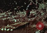 Image of survival techniques Philippines, 1968, second 50 stock footage video 65675072402