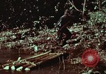 Image of survival techniques Philippines, 1968, second 51 stock footage video 65675072402