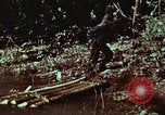 Image of survival techniques Philippines, 1968, second 52 stock footage video 65675072402