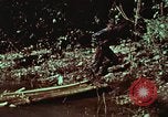 Image of survival techniques Philippines, 1968, second 53 stock footage video 65675072402