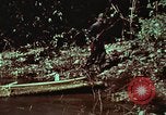 Image of survival techniques Philippines, 1968, second 54 stock footage video 65675072402
