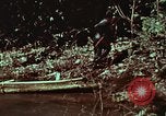 Image of survival techniques Philippines, 1968, second 55 stock footage video 65675072402