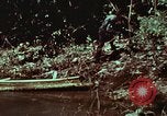 Image of survival techniques Philippines, 1968, second 56 stock footage video 65675072402