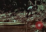 Image of survival techniques Philippines, 1968, second 57 stock footage video 65675072402