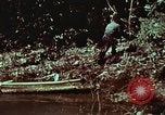 Image of survival techniques Philippines, 1968, second 59 stock footage video 65675072402