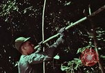 Image of survival techniques Philippines, 1968, second 5 stock footage video 65675072403