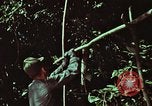 Image of survival techniques Philippines, 1968, second 6 stock footage video 65675072403