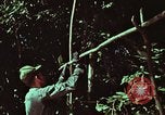 Image of survival techniques Philippines, 1968, second 7 stock footage video 65675072403