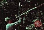 Image of survival techniques Philippines, 1968, second 8 stock footage video 65675072403