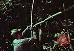 Image of survival techniques Philippines, 1968, second 9 stock footage video 65675072403