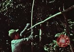 Image of survival techniques Philippines, 1968, second 10 stock footage video 65675072403