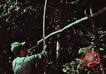 Image of survival techniques Philippines, 1968, second 11 stock footage video 65675072403