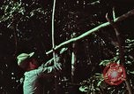 Image of survival techniques Philippines, 1968, second 12 stock footage video 65675072403
