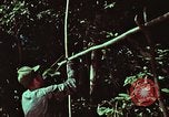 Image of survival techniques Philippines, 1968, second 15 stock footage video 65675072403