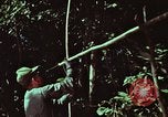 Image of survival techniques Philippines, 1968, second 16 stock footage video 65675072403