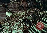 Image of survival techniques Philippines, 1968, second 17 stock footage video 65675072403