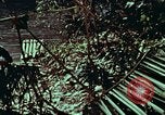 Image of survival techniques Philippines, 1968, second 18 stock footage video 65675072403
