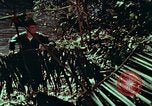 Image of survival techniques Philippines, 1968, second 19 stock footage video 65675072403