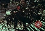 Image of survival techniques Philippines, 1968, second 20 stock footage video 65675072403
