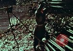 Image of survival techniques Philippines, 1968, second 21 stock footage video 65675072403