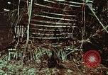 Image of survival techniques Philippines, 1968, second 22 stock footage video 65675072403