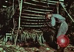 Image of survival techniques Philippines, 1968, second 23 stock footage video 65675072403
