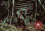 Image of survival techniques Philippines, 1968, second 25 stock footage video 65675072403