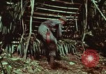 Image of survival techniques Philippines, 1968, second 28 stock footage video 65675072403