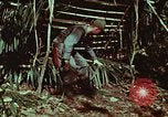 Image of survival techniques Philippines, 1968, second 29 stock footage video 65675072403