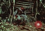 Image of survival techniques Philippines, 1968, second 31 stock footage video 65675072403