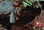 Image of survival techniques Philippines, 1968, second 42 stock footage video 65675072403