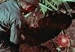 Image of survival techniques Philippines, 1968, second 43 stock footage video 65675072403