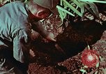 Image of survival techniques Philippines, 1968, second 44 stock footage video 65675072403