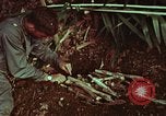 Image of survival techniques Philippines, 1968, second 46 stock footage video 65675072403