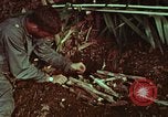 Image of survival techniques Philippines, 1968, second 48 stock footage video 65675072403