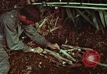 Image of survival techniques Philippines, 1968, second 49 stock footage video 65675072403