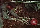 Image of survival techniques Philippines, 1968, second 50 stock footage video 65675072403