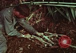 Image of survival techniques Philippines, 1968, second 51 stock footage video 65675072403