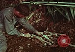 Image of survival techniques Philippines, 1968, second 52 stock footage video 65675072403
