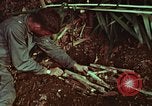 Image of survival techniques Philippines, 1968, second 53 stock footage video 65675072403